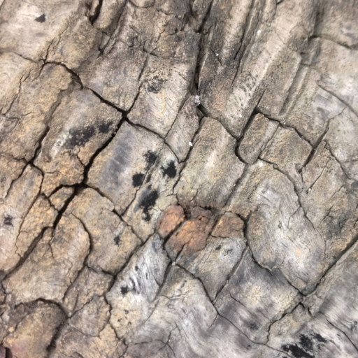 WoodTexture