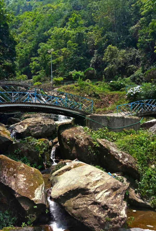 Nature Shot 1
