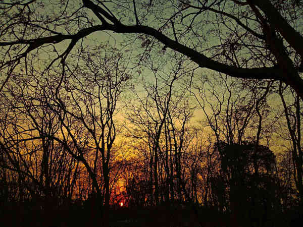 Nature Shot 2
