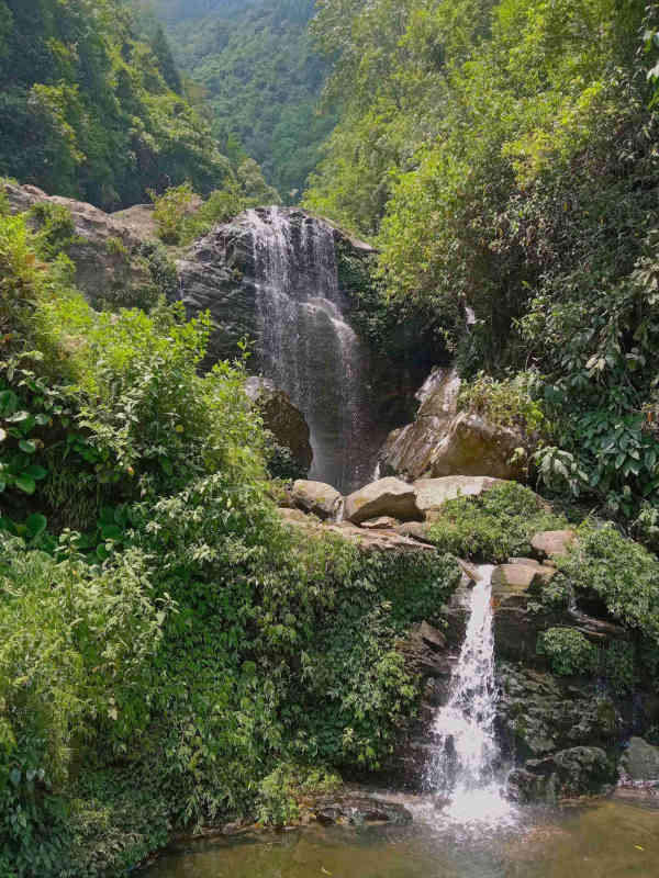 Nature Shot 3
